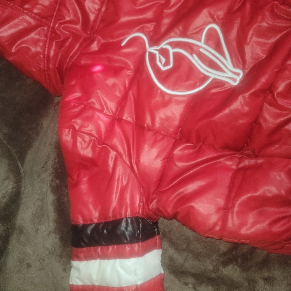 Vintage Y2K Baby Phat Glossy Puffer Coat w/ detachable hood